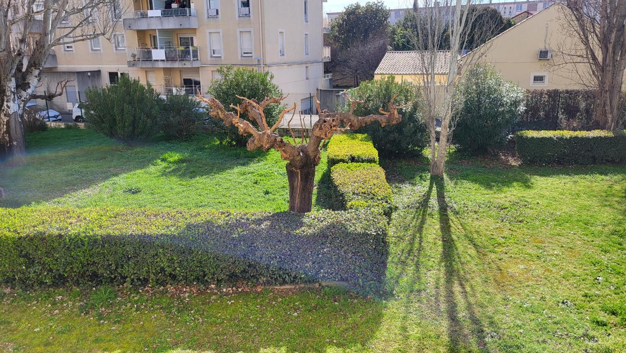 Les Tourterelles D'Avignon Apartment Bagian luar foto